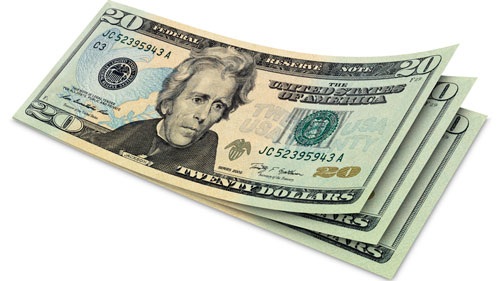 20 Dollar Bills