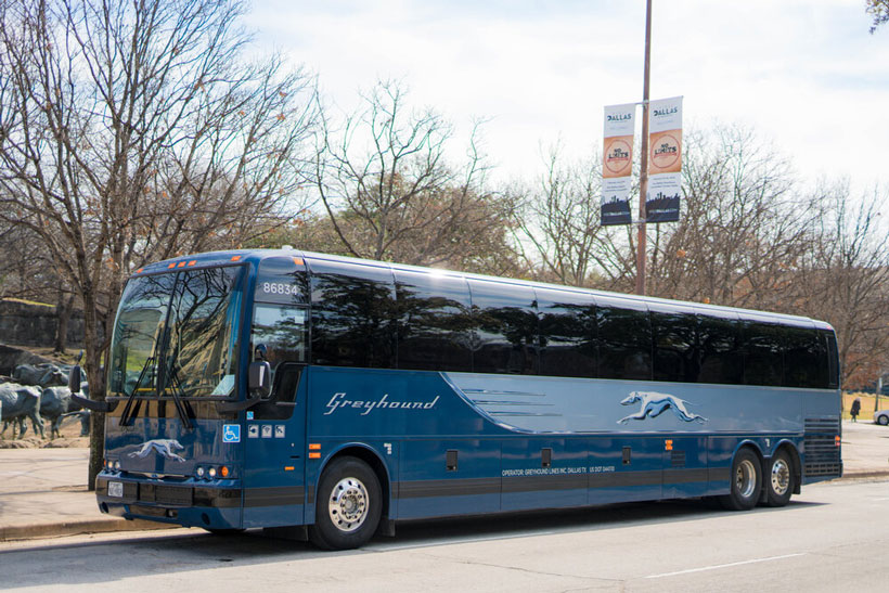 Loaded Bus