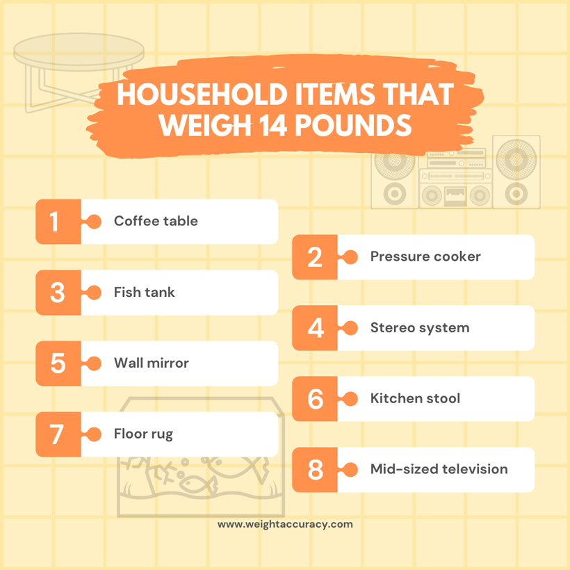 Summary Table of Household Items Weighing Around 14 Pounds