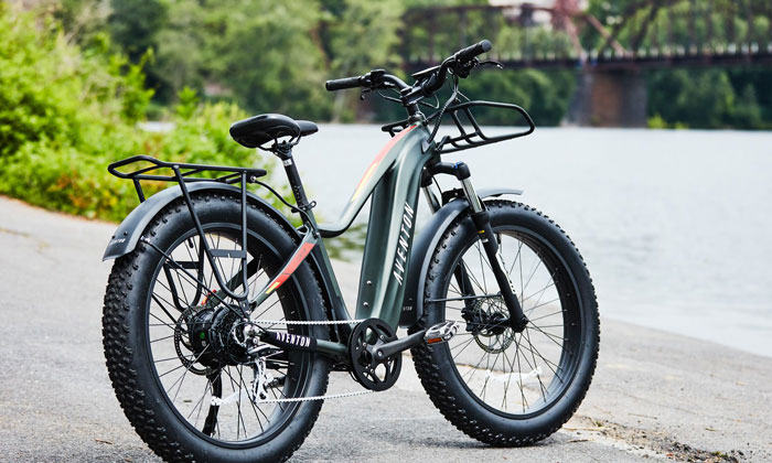Electric Bike