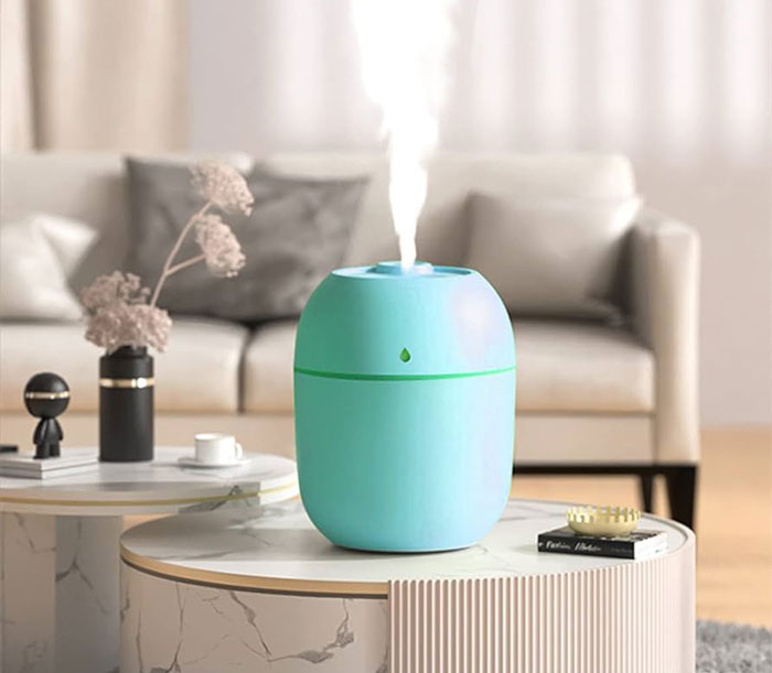 Portable Humidifier
