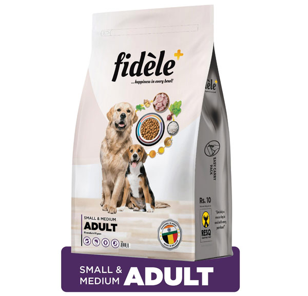 Small to Medium Dry Dog Food Packet