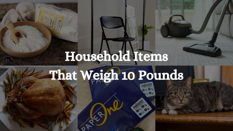 11 Household Items That Weigh 10 Pounds!