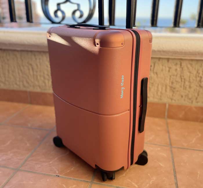 July Checked Suitcase