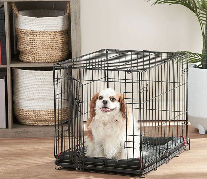 One Medium Dog Crate