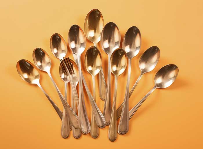 Stainless Steel Spoons