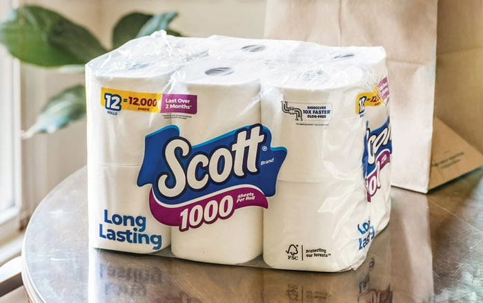 Two Packs of 12 Rolls Of Tissue