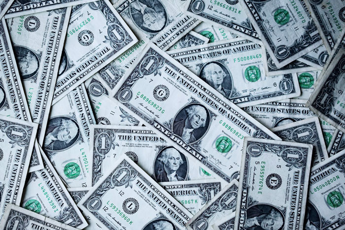 12 Dollar Bills