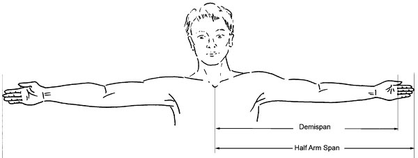 Average Arm Span of a 13-year-old