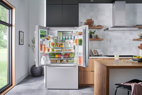Double-Door Refrigerator