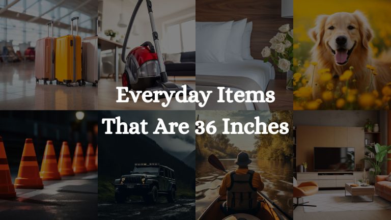 How Big Is 36 Inches: What Looks Like & Measures 36 Inches?