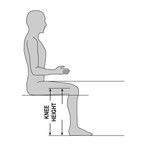 Knee Height