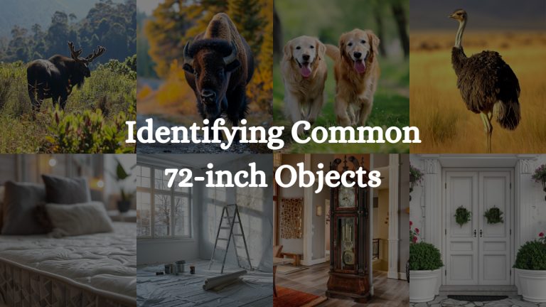 How Big Is 72 Inches: Identifying 17 Common 72-inch Objects