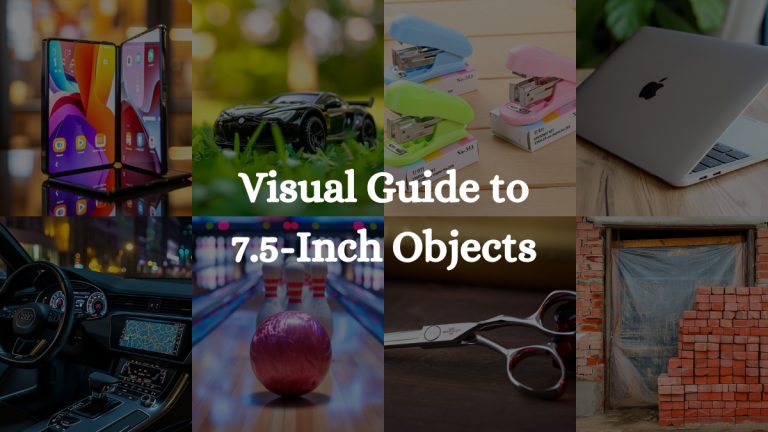 How Big Is 7.5 Inches: Visual Guide to 7.5-Inch Objects